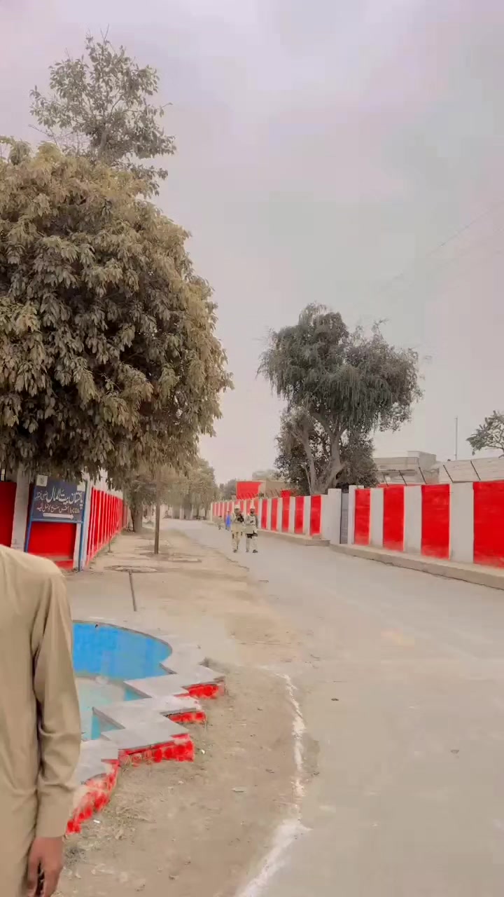 @عدیل رحمن لیہ وال کبوتر باز