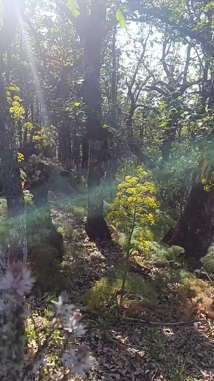 @JubaHiking