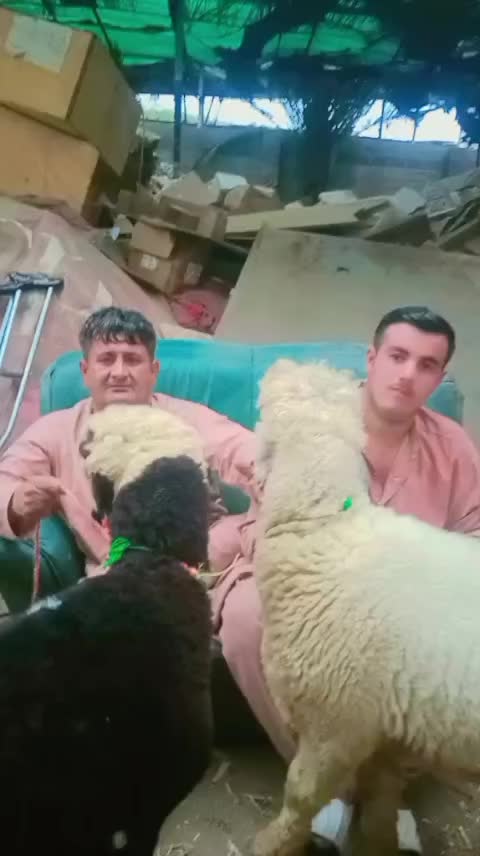 @علی محمد سلمان خیل