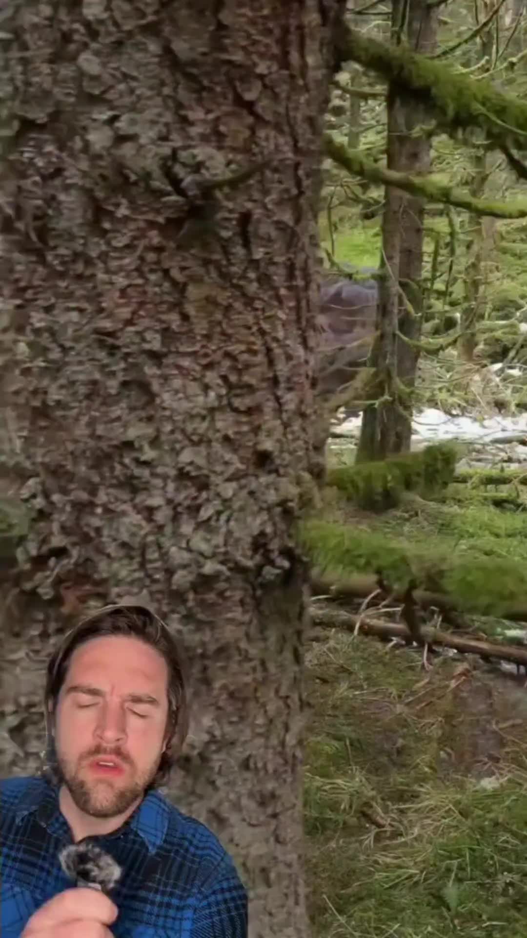 @Bigdaddyleo