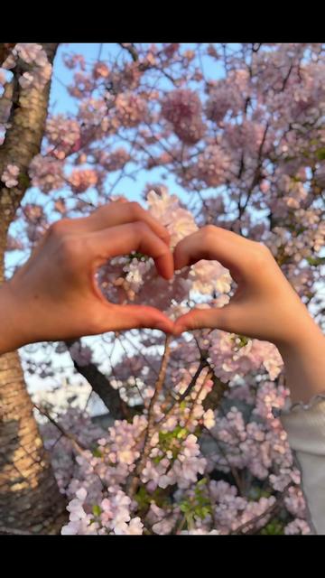@saori.213💎