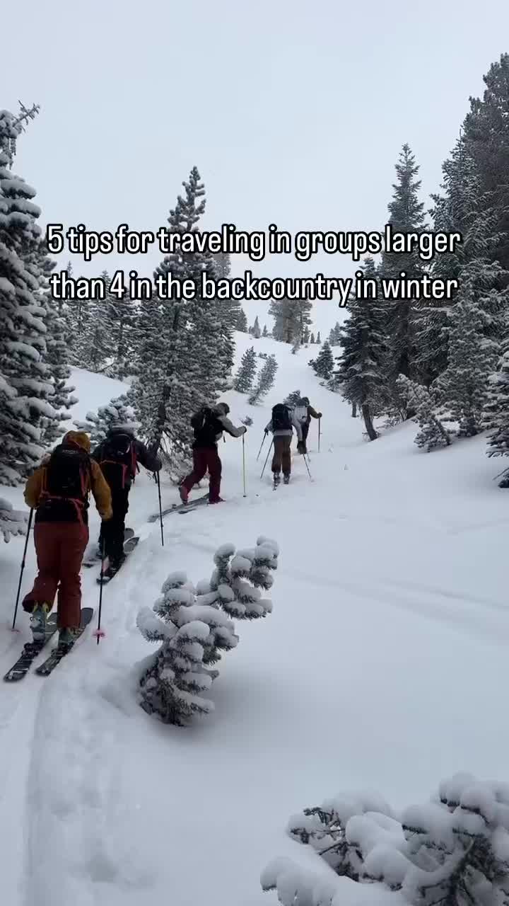 @wilderness.education