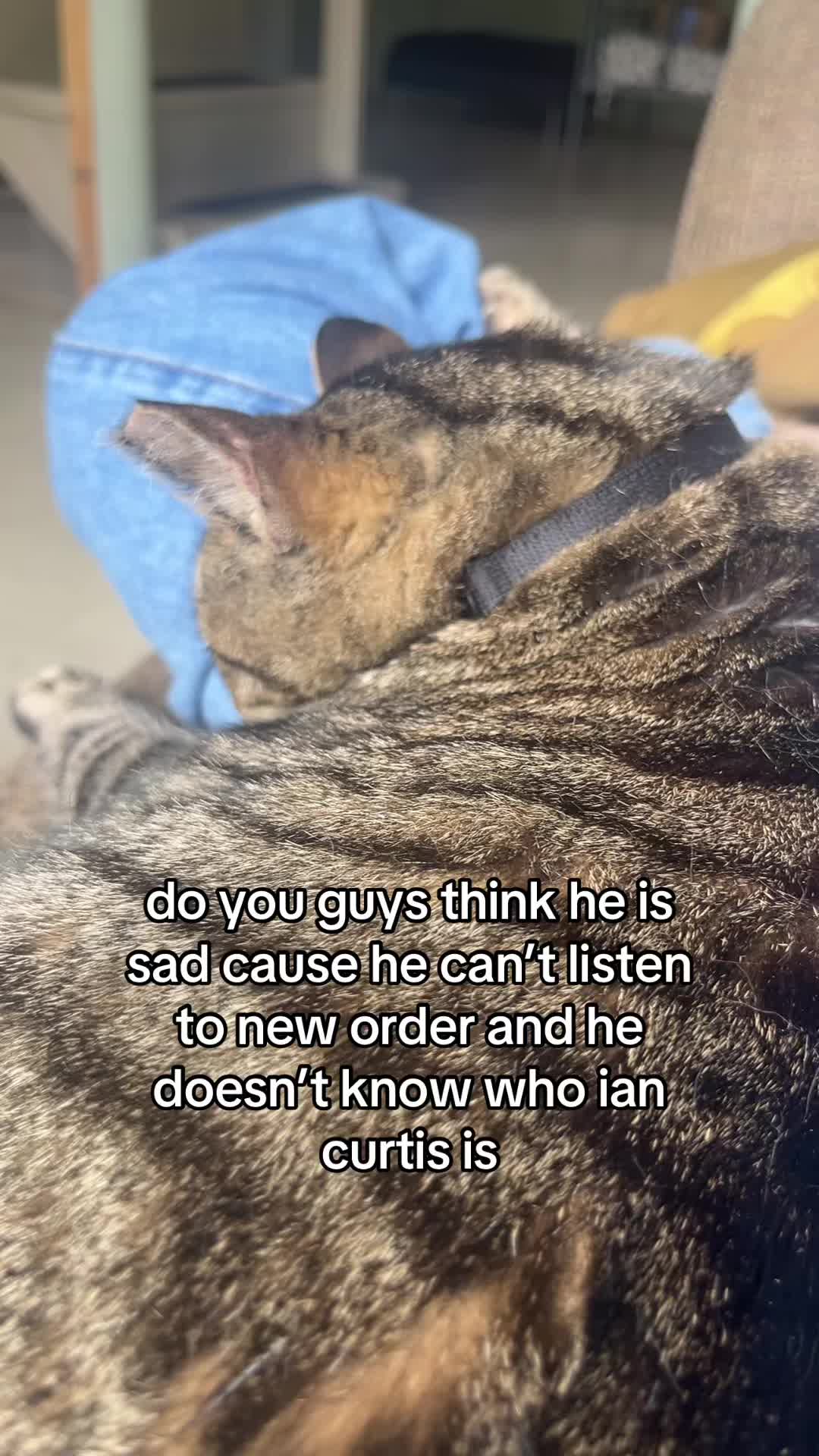 @blasphemeowsrumours