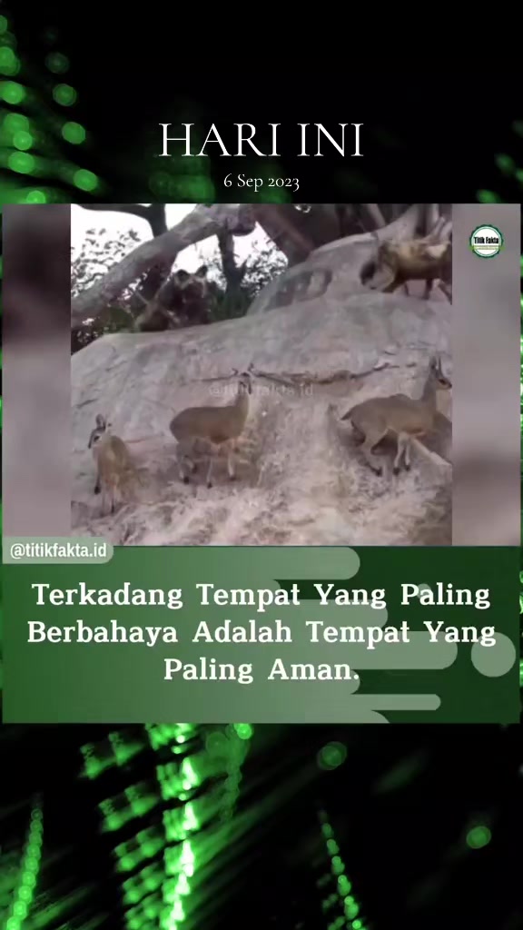 @Titik Facts
