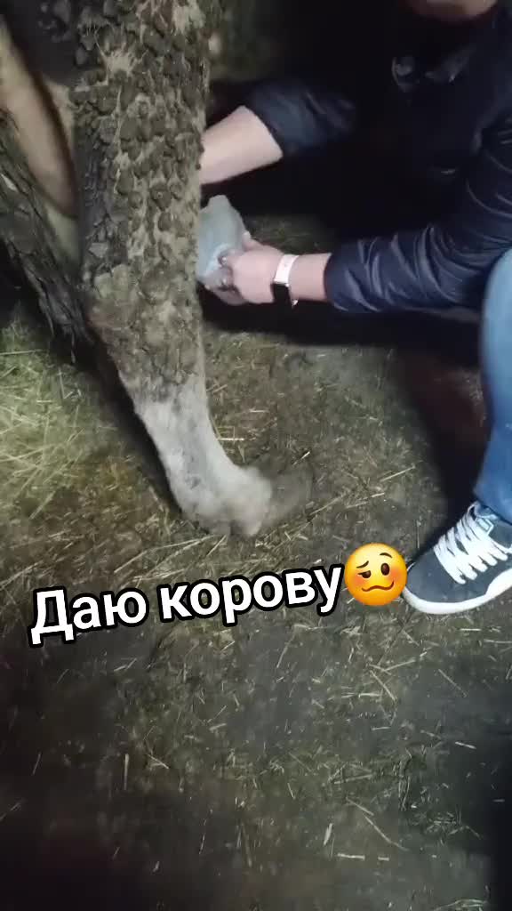 @iuliia585