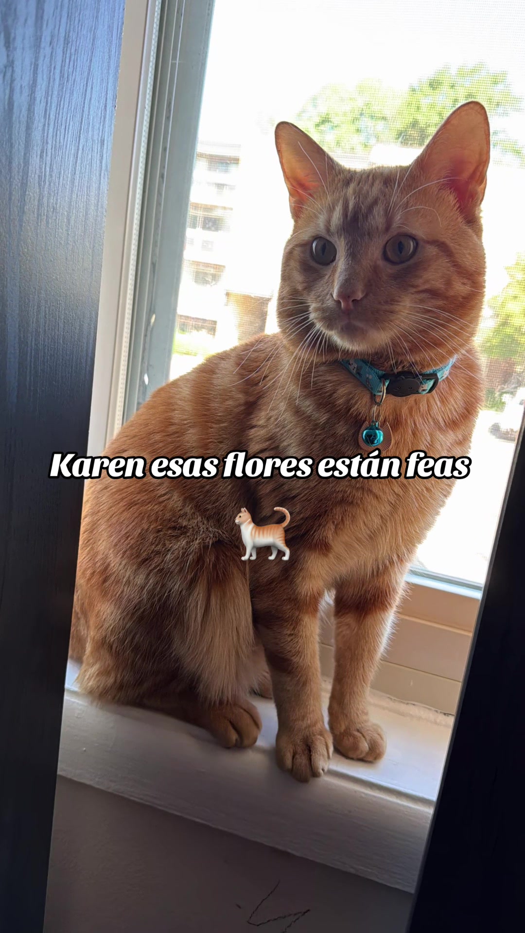 @Josselyn