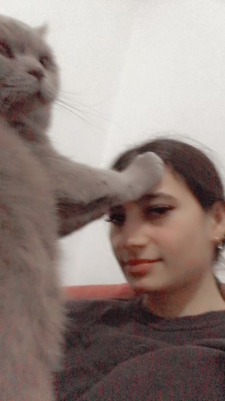 @Sedanur 💐