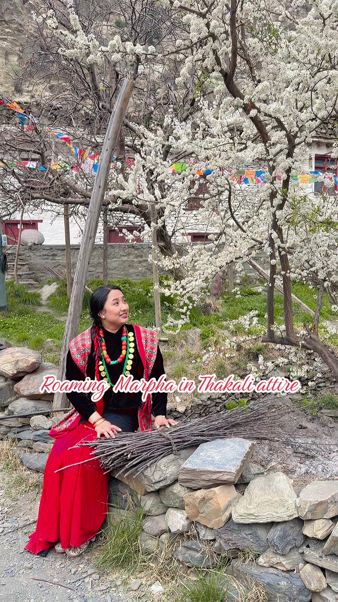 @इलिसा🌸