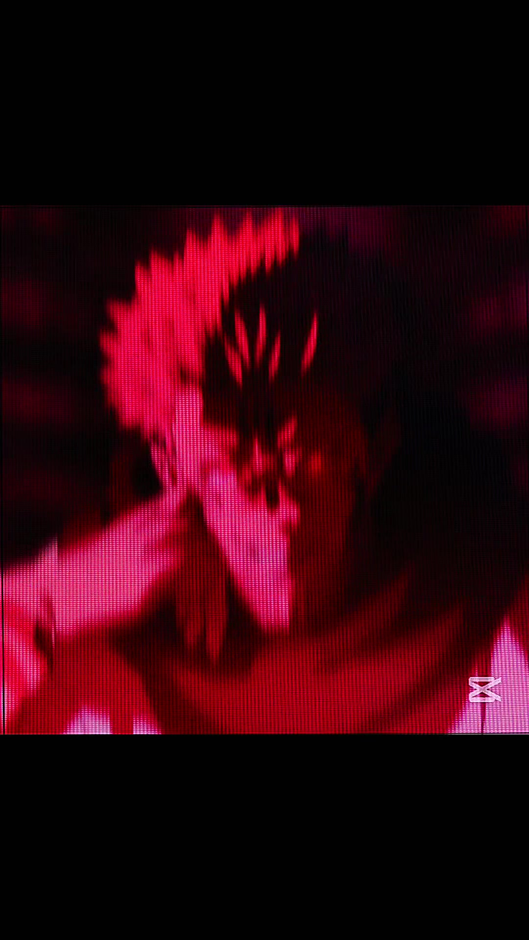 @RaizoKurozawa🥷🏼