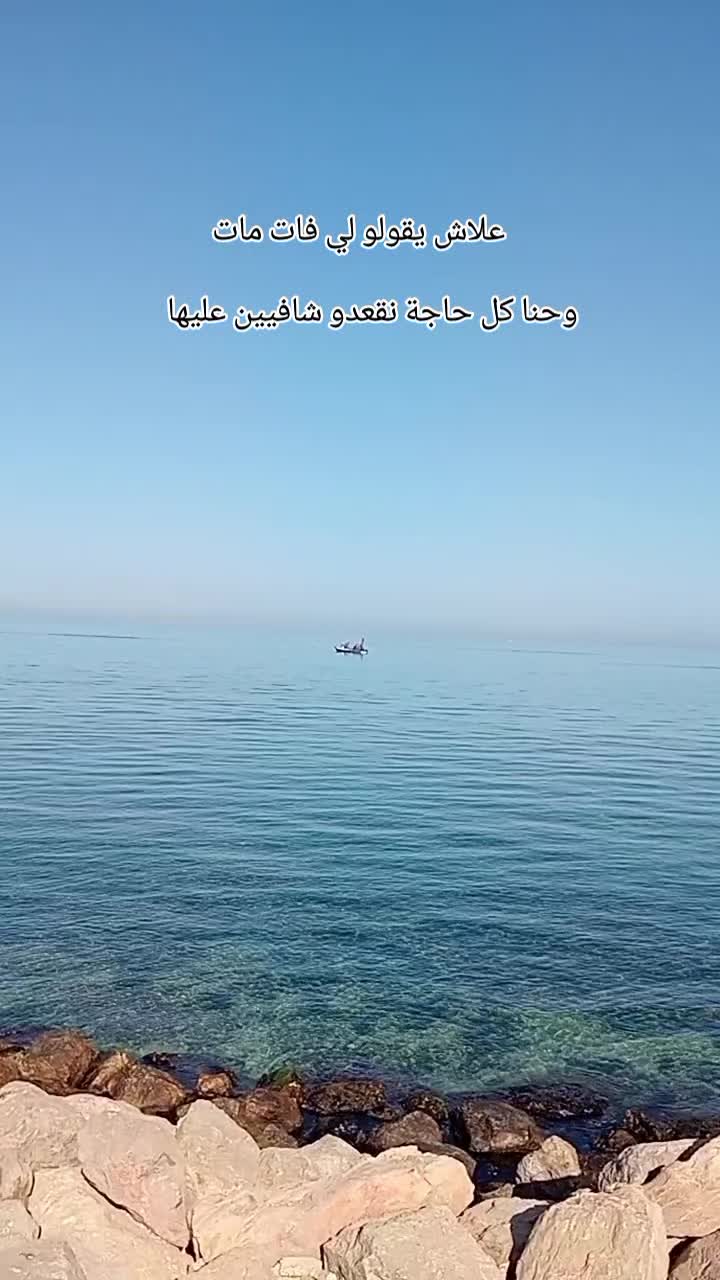 @💚Dounyazed16❤BND
