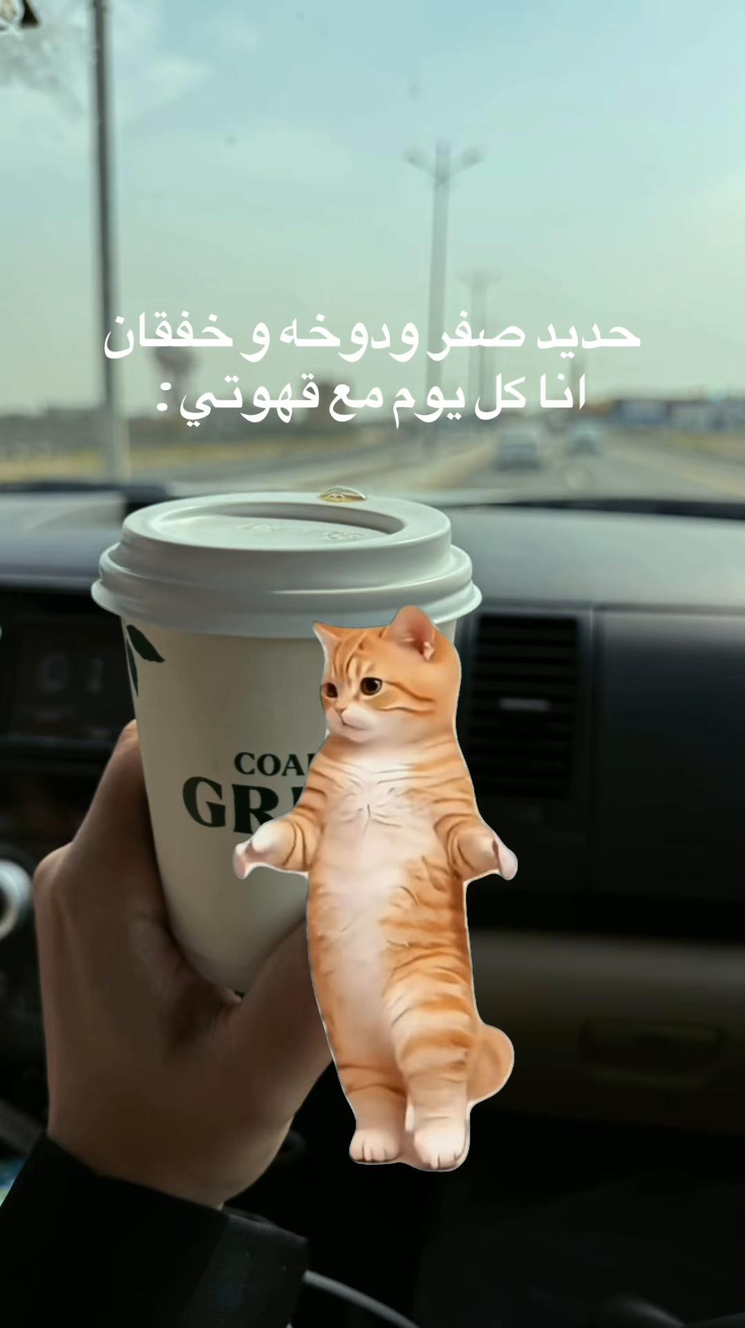 @نـوره | ١٩٩٤