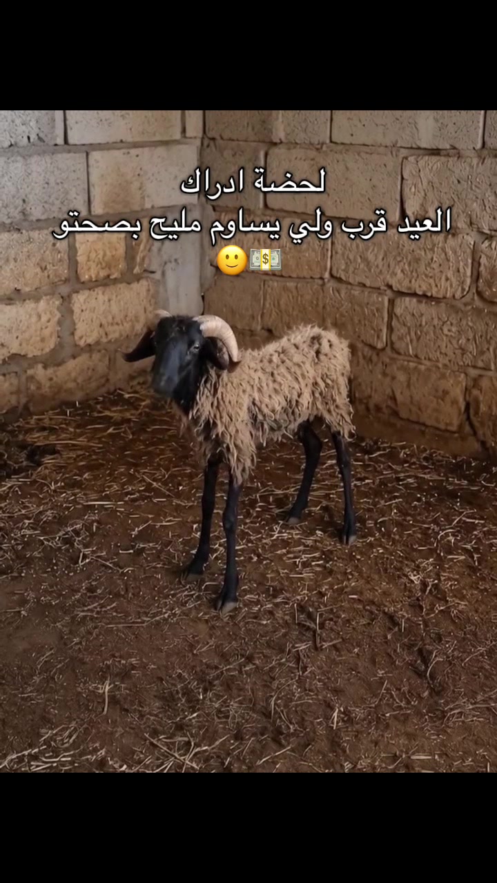 @midoe.09