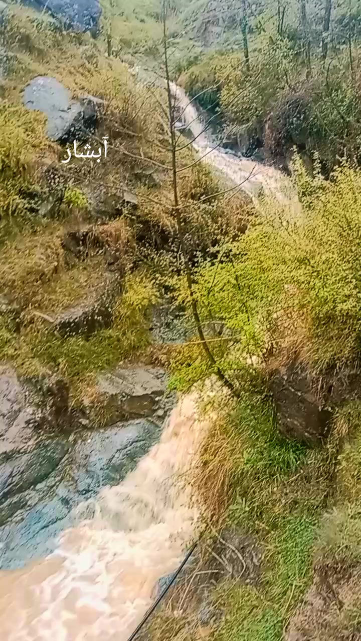 @Dilsuz