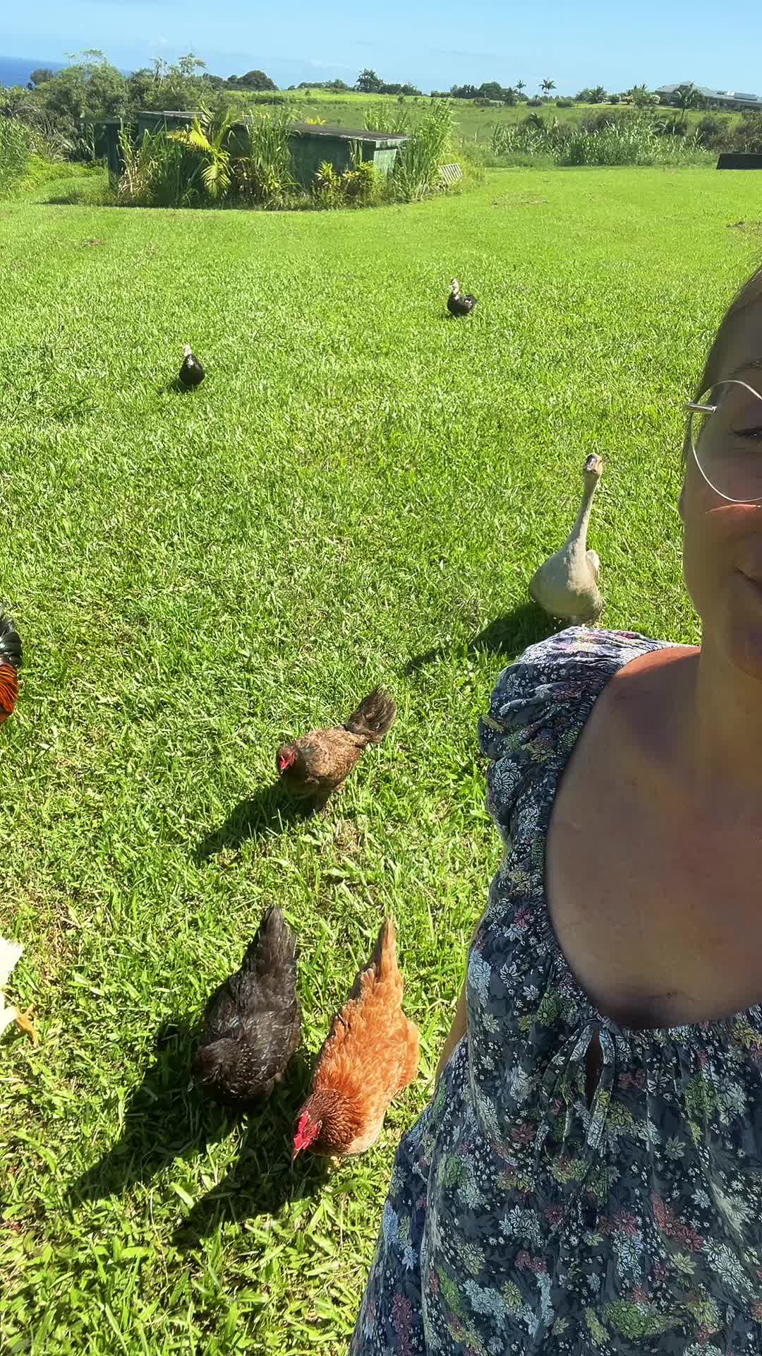 @junglefairyfarm