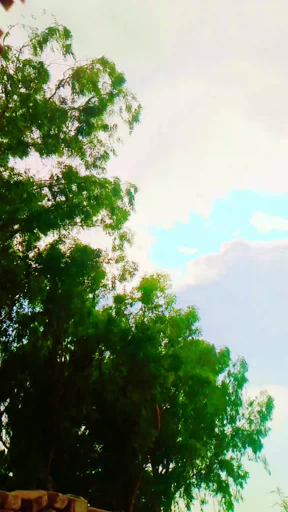 @kheezar