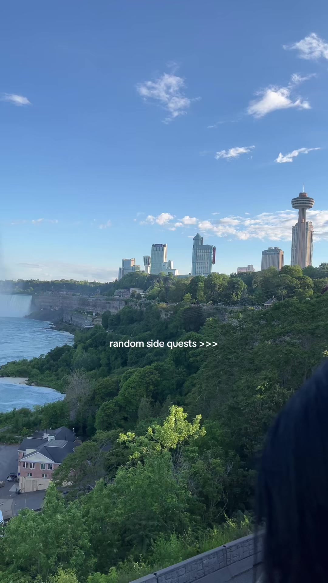 @ms. ovo ᥫ᭡