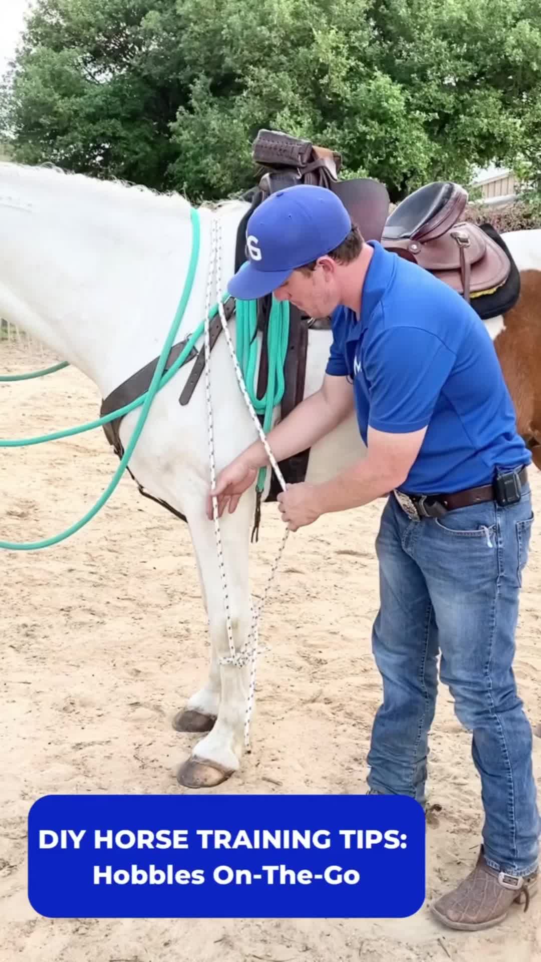@Horse Help