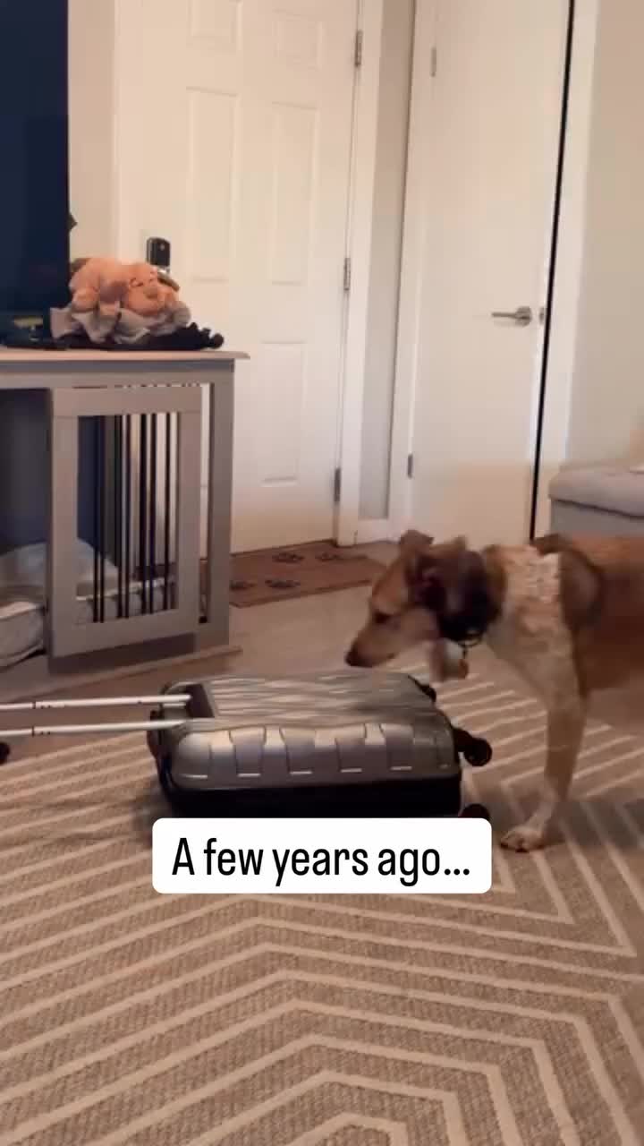 @Marissa | Kota & Aspen