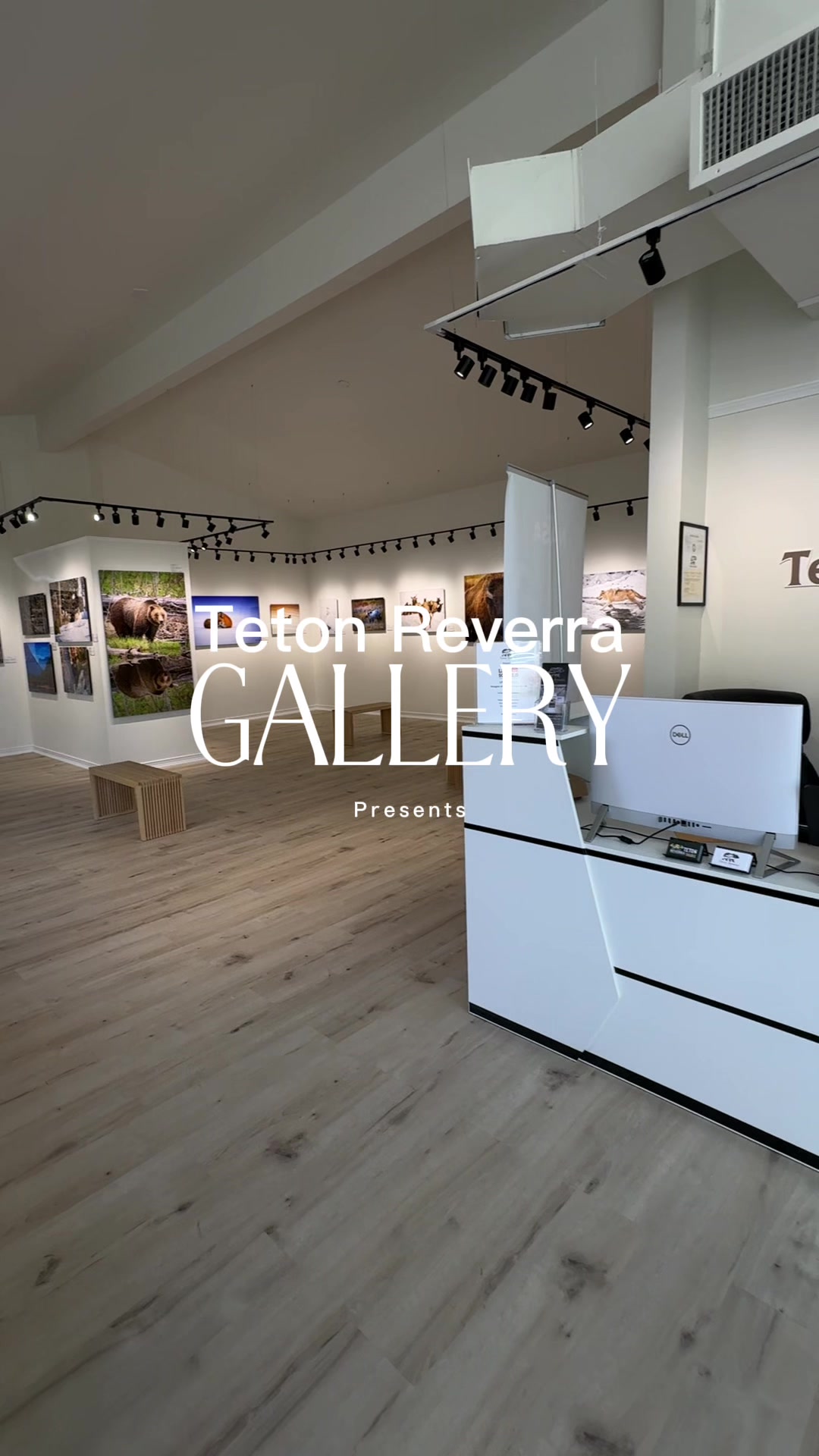@Gallery Teton Reverra