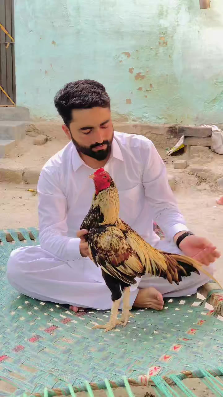 @🌿Syed IftiKHaR SHaH🌿
