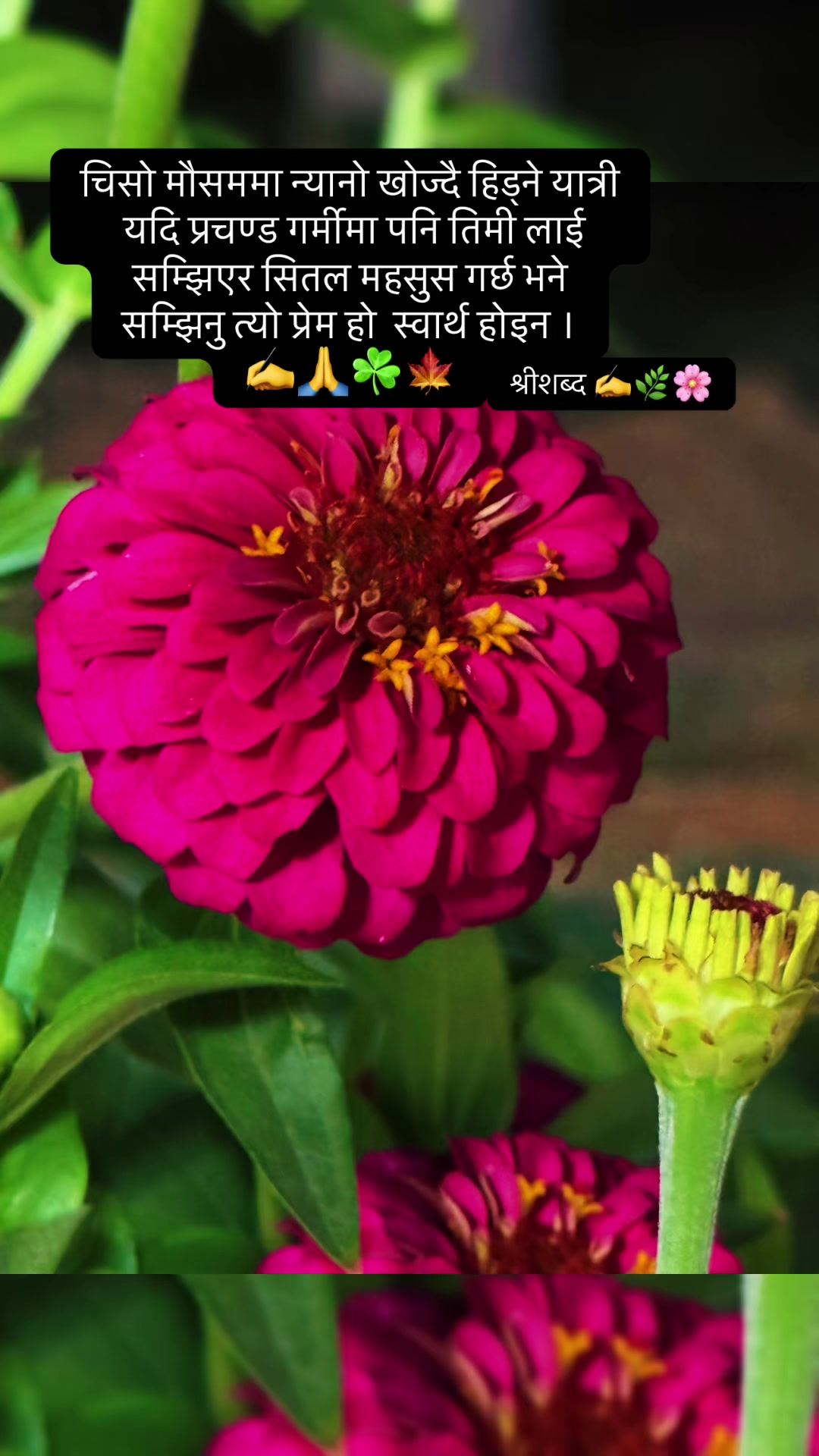 @🌿श्रीशब्द&hellip;.✍️🕊️🍁🍂