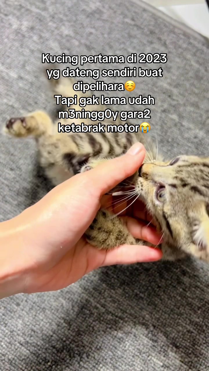 @๐๐ฎ๐ต๐ฒ๐ท ๐๐ป๐ญ