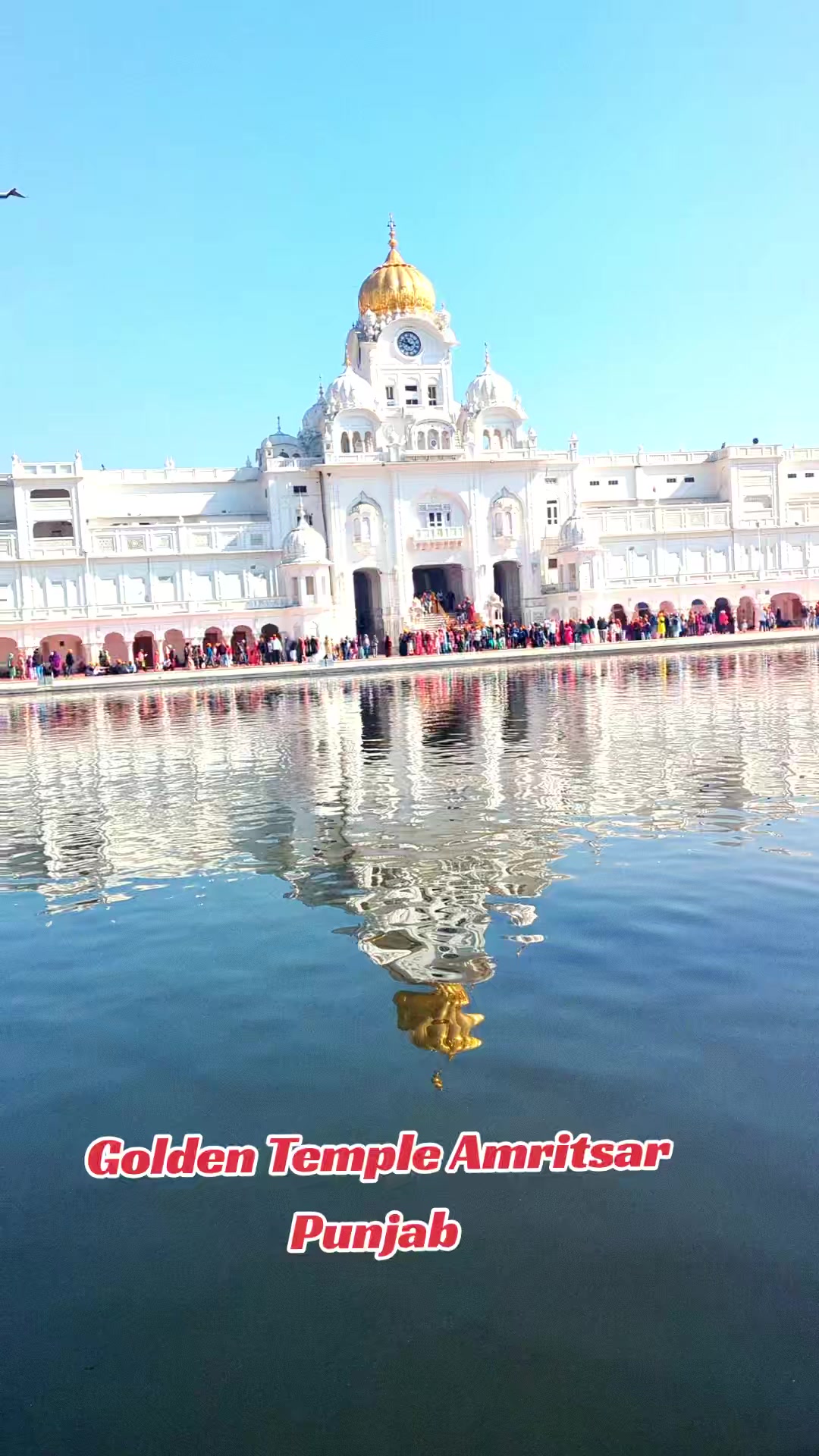 @Amritpal Singh Rai ਅੰਮ੍ਰਿਤਪਾਲ