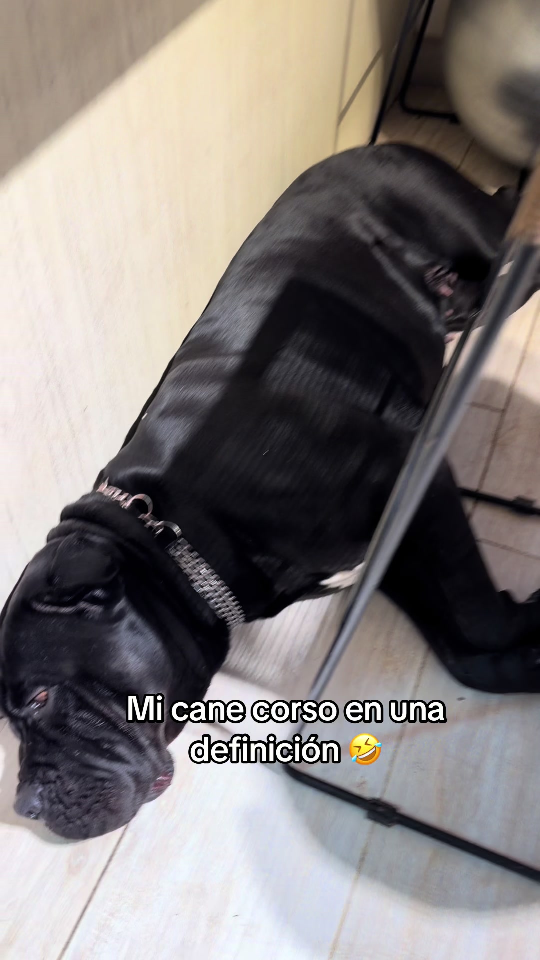 @Anto
