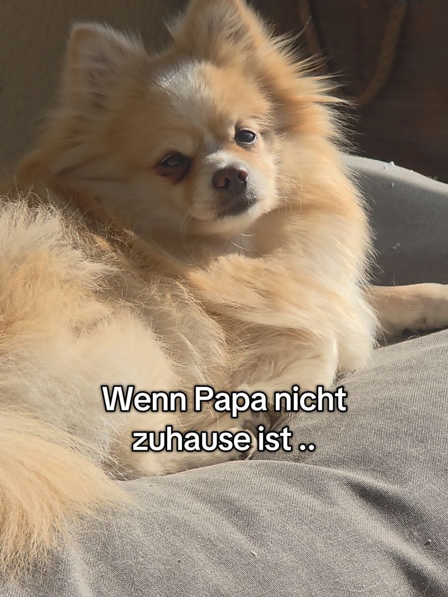 @Mias Spitze Welt 🫶