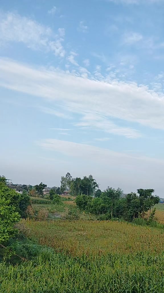 @Shiva GC569.