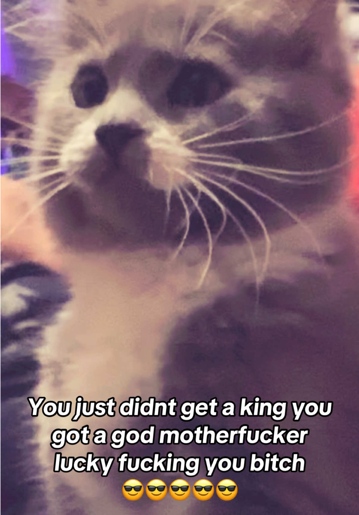 @fatplumpythugcat9000