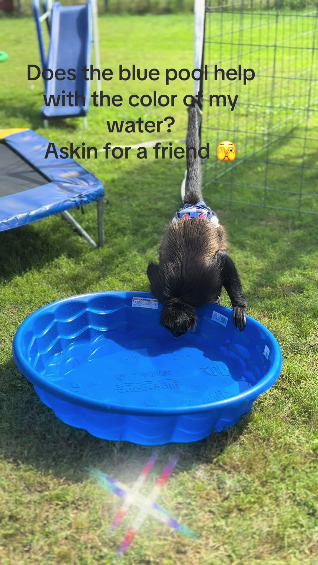 @ThatMonkeyLady🐒⚓️💙⚖️💕🐒
