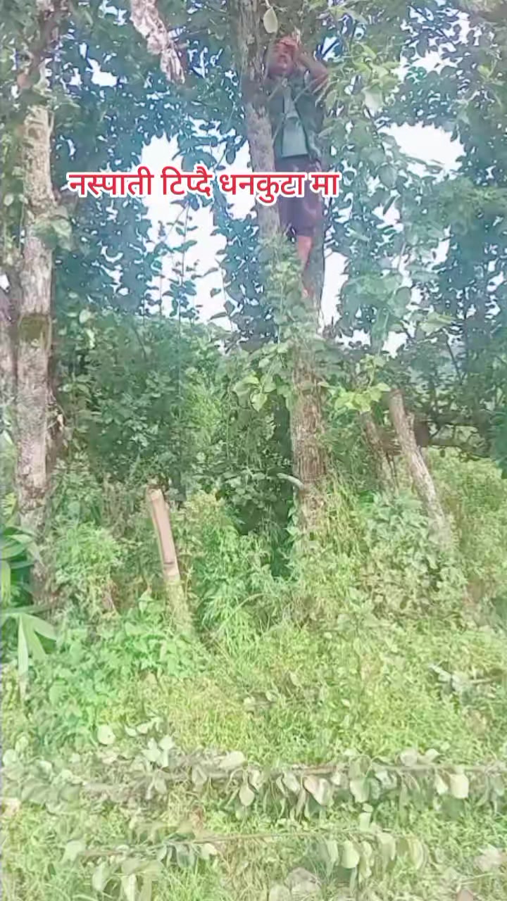 @jhapali.mohan.kumar shrestha