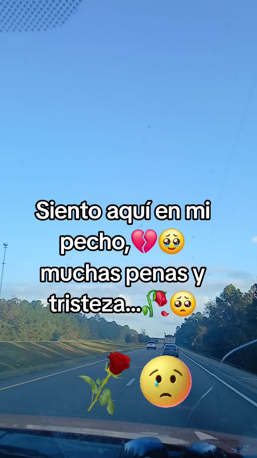 @🇬🇹✌️🇲🇽PANTHER 🖤🍻🖤502