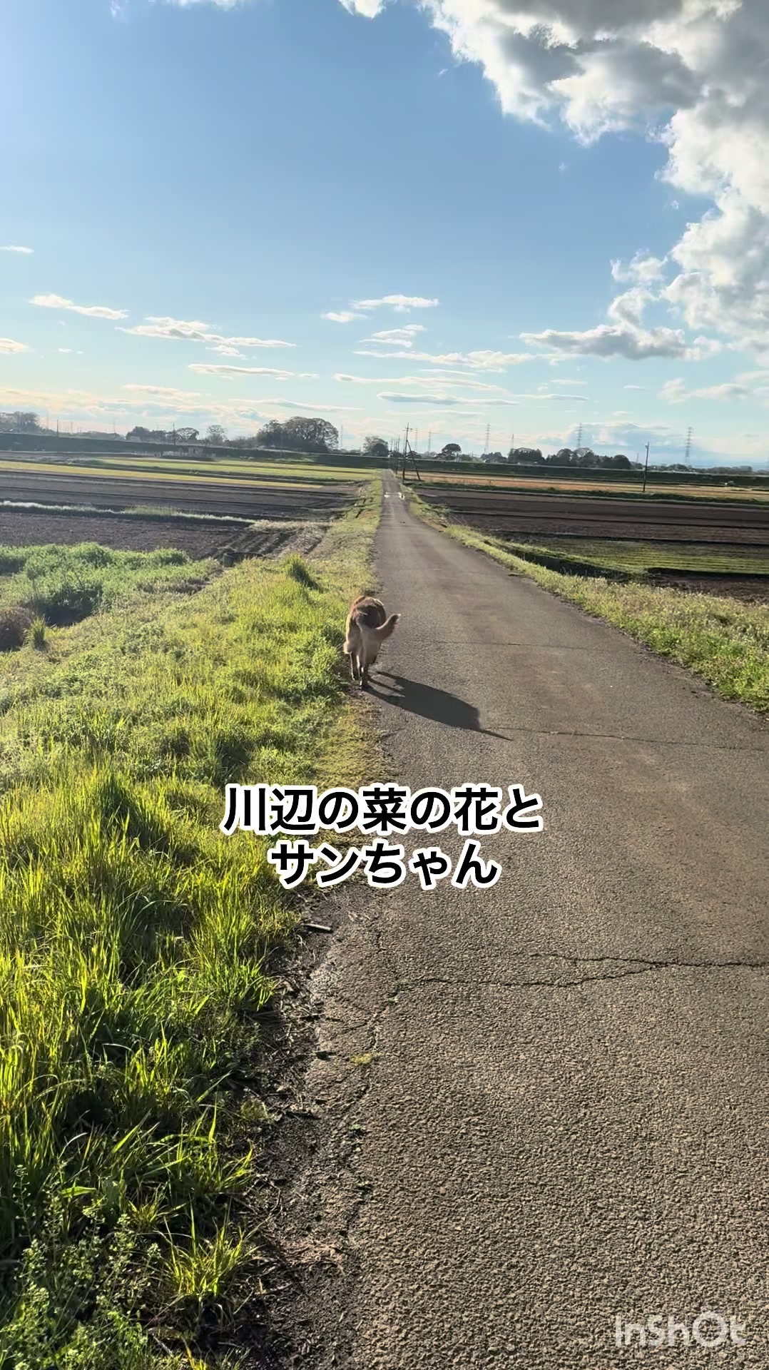 @ミウラ•リョーコ(イーツカ•リョーコ)
