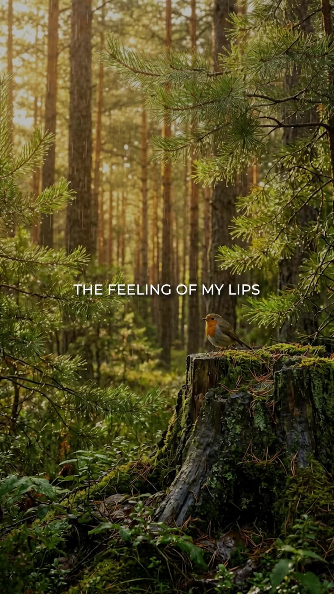 @Music Is The Feeling