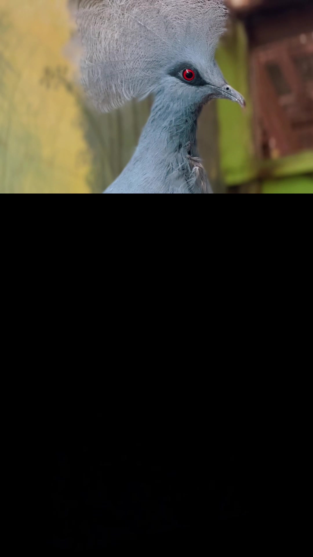 @mellaaaaaaaaa