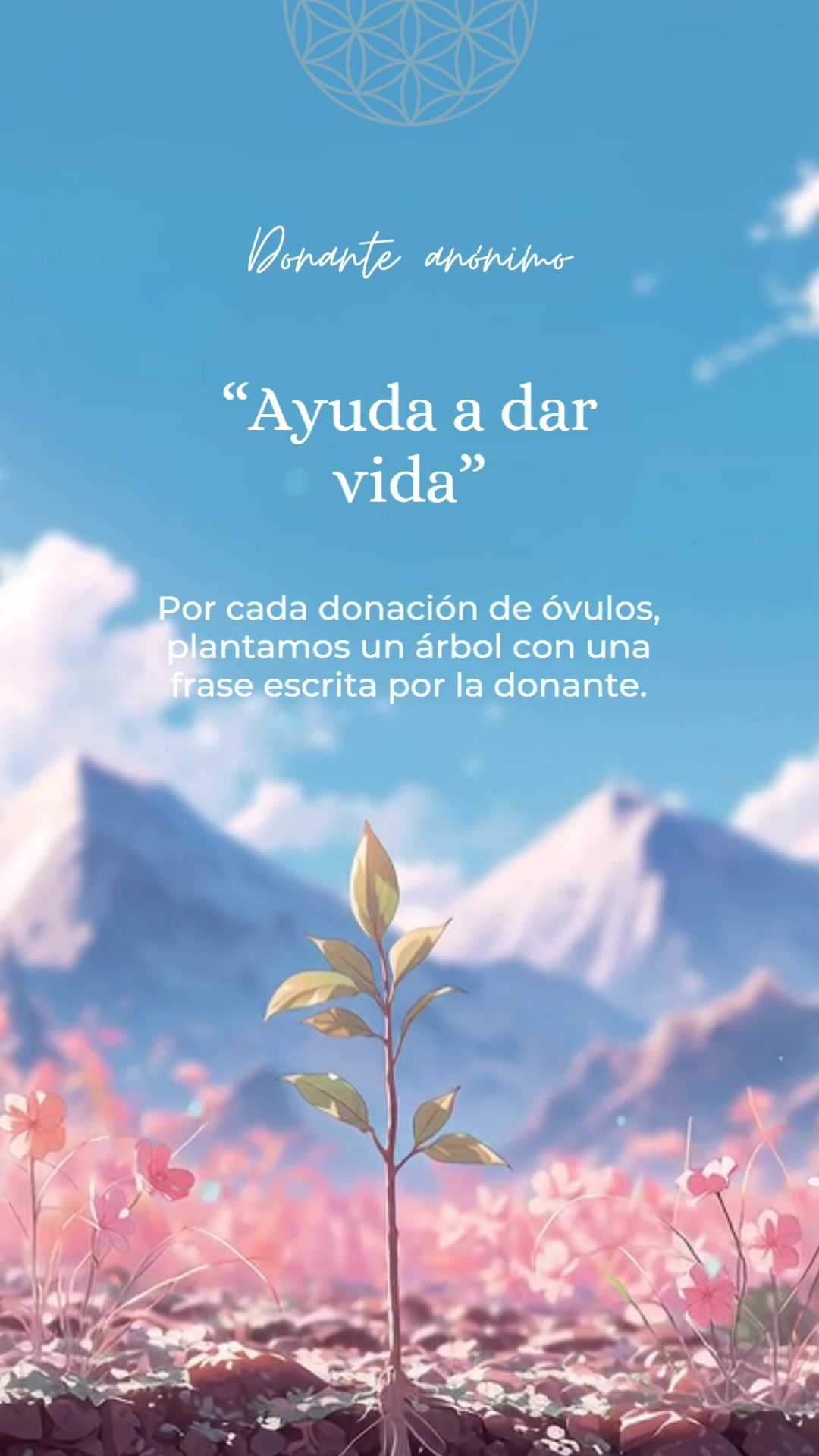 @Yo Soy Flora