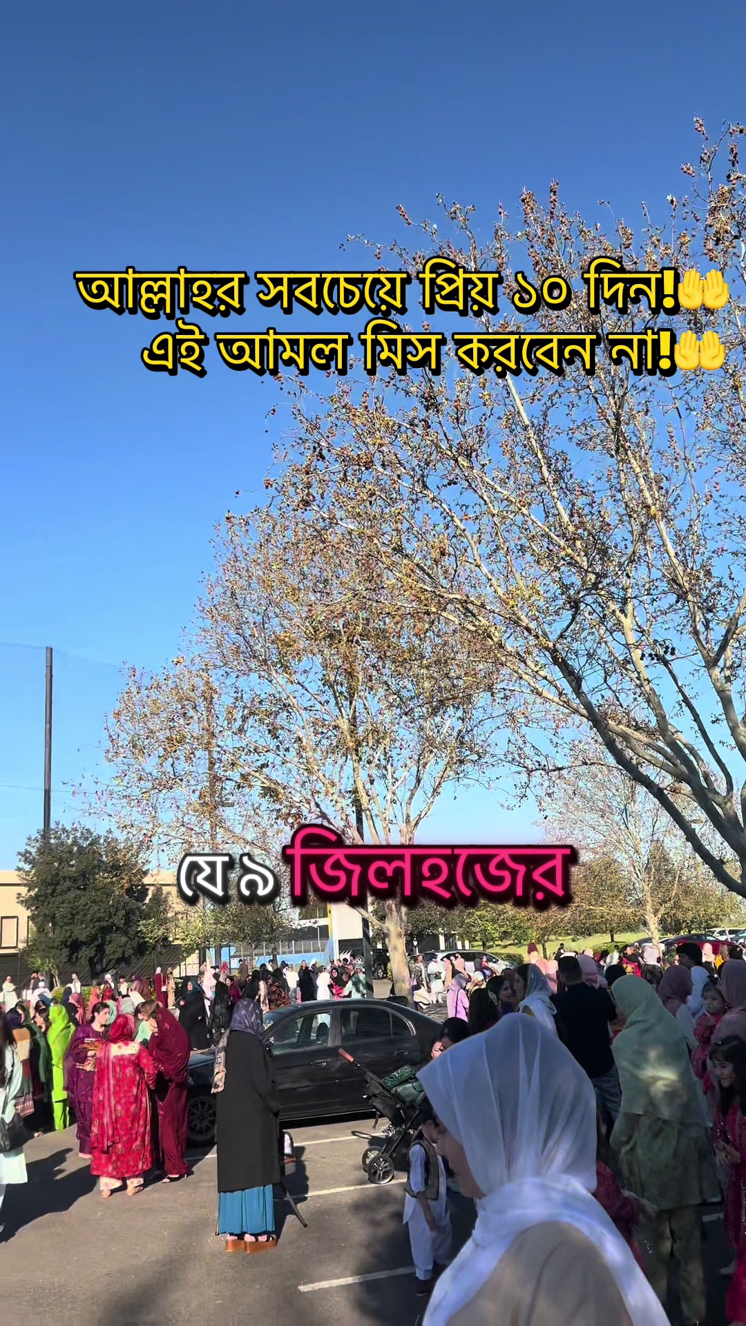 @Mousumi USA