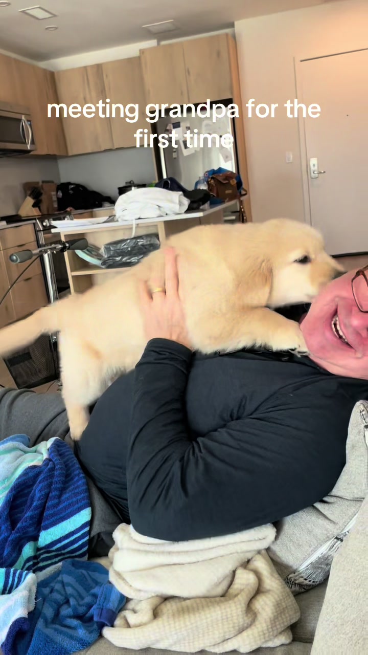 @Luca the Golden