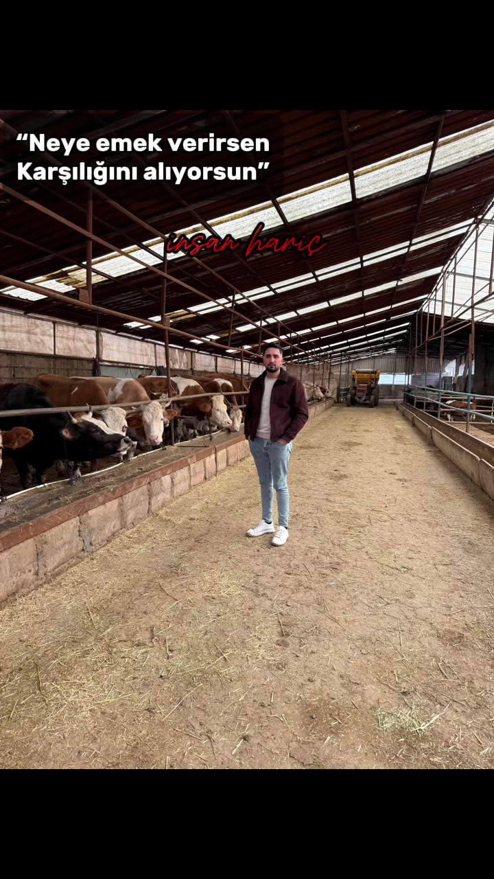 @VEFA DEMİR🇹🇷