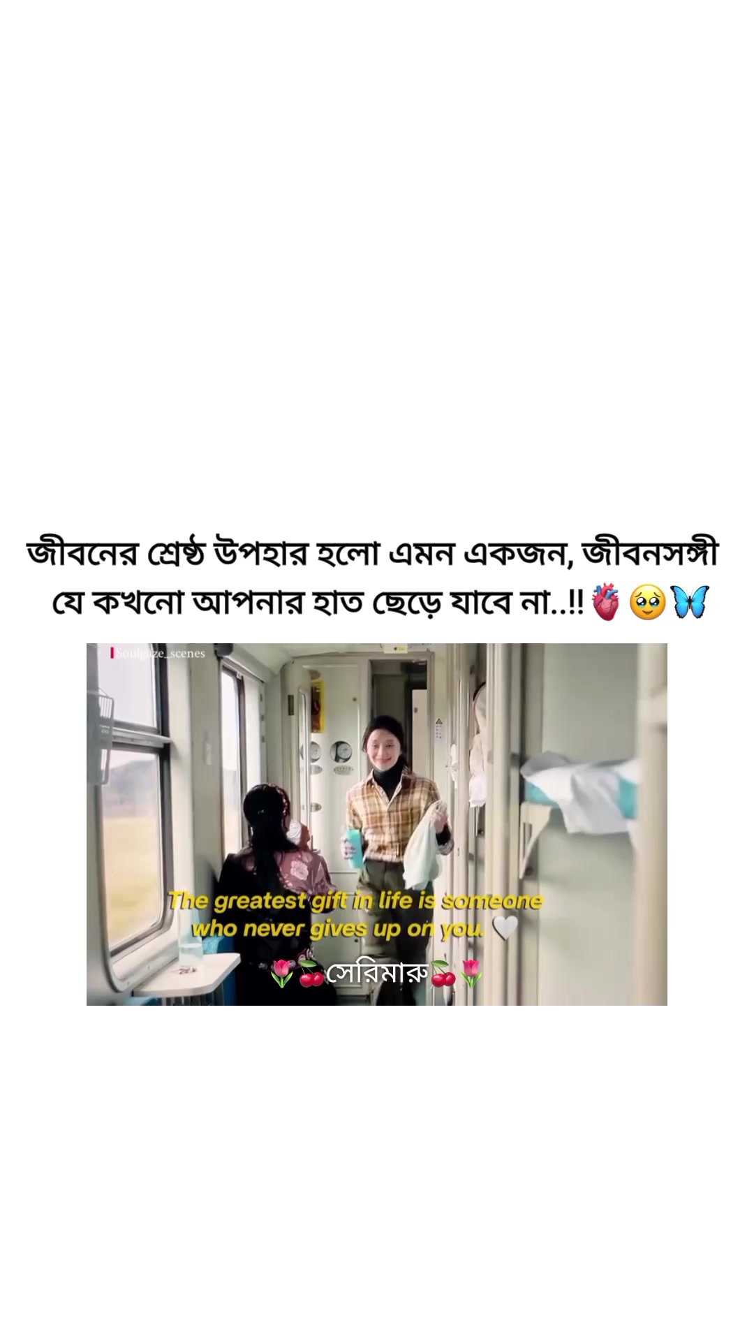 @🌷🍒সেরিমারু🍒🌷