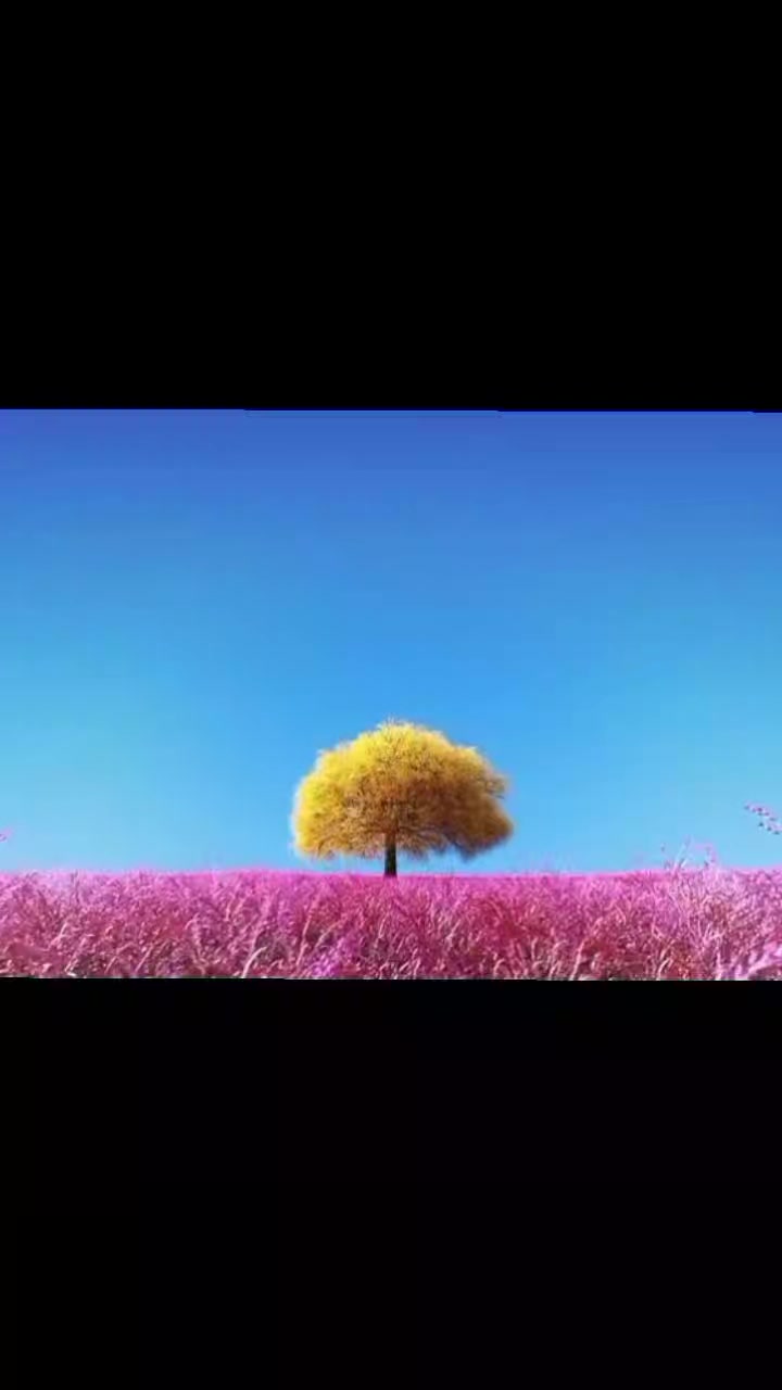 @Aenii_โค๏ธ๐ฅ๐ฆ