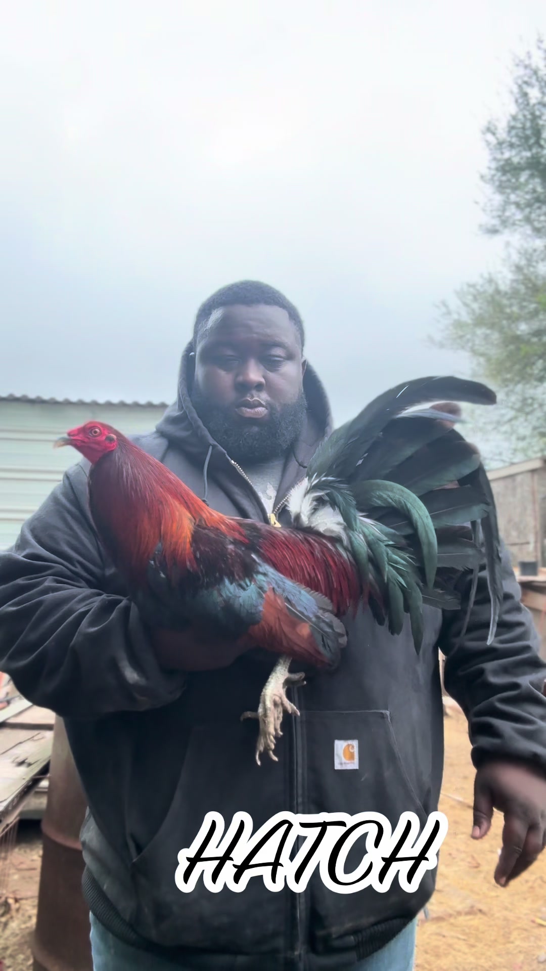 @Bryan Gamefarm