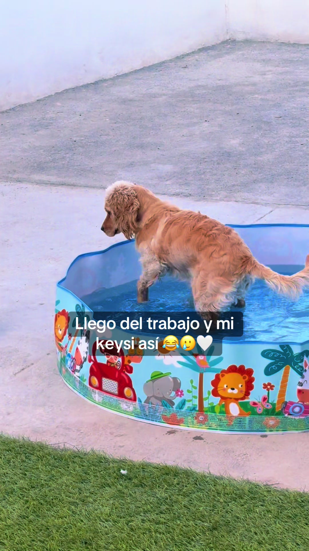 @Diana Salazar