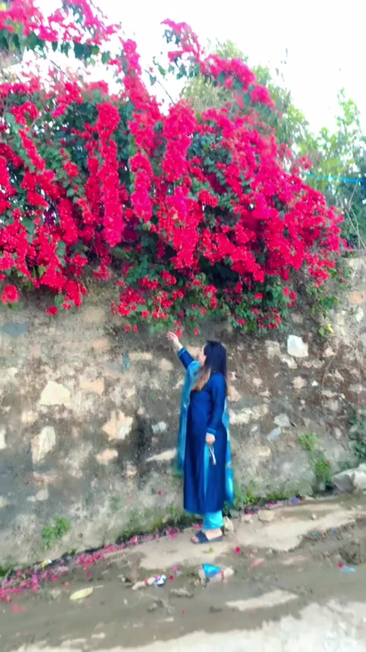 @Rozina Ghalan