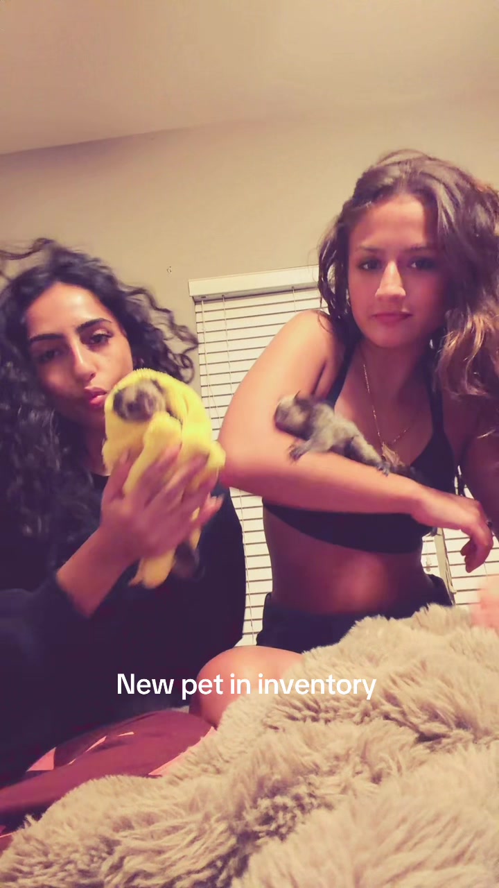 @duniya ❣️
