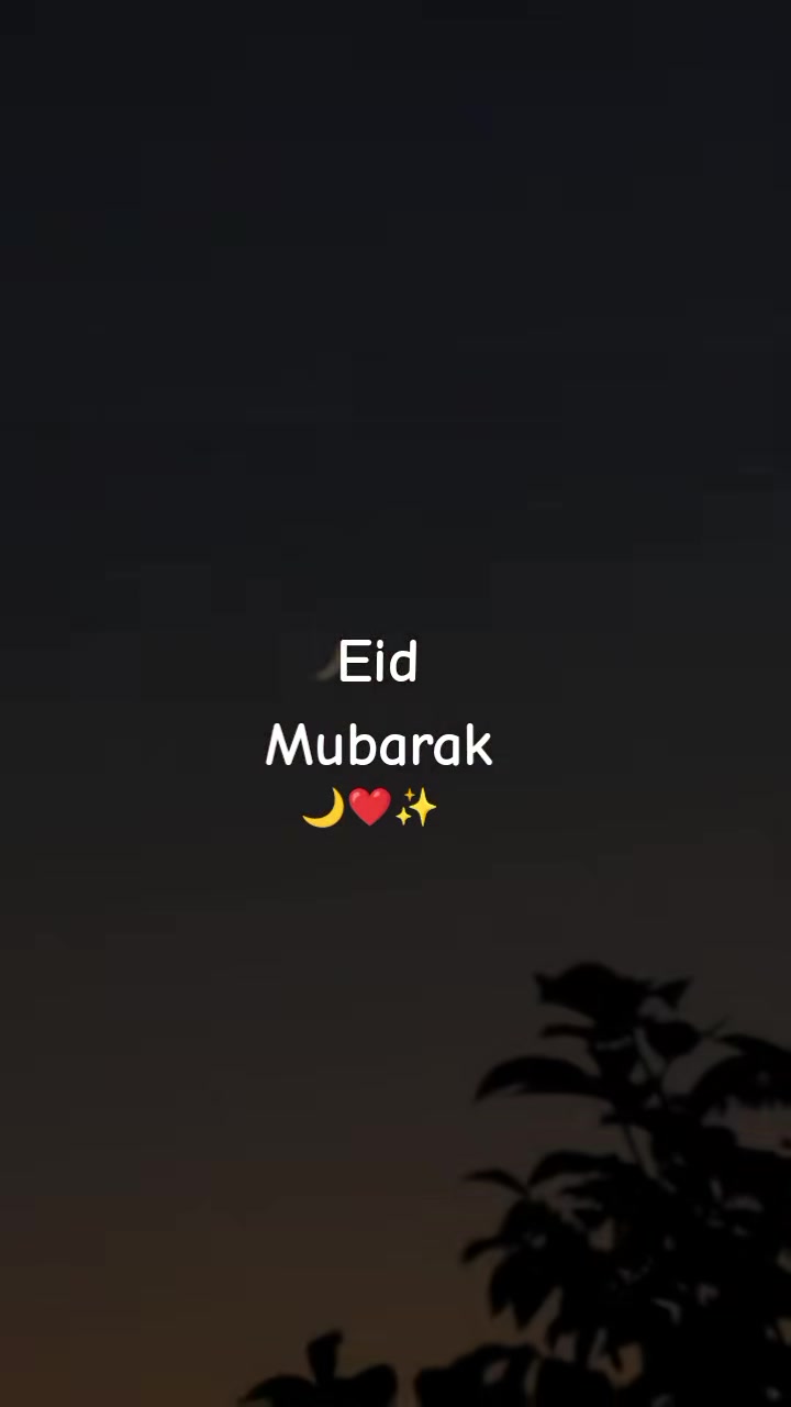 @M AMIR🥀❤️