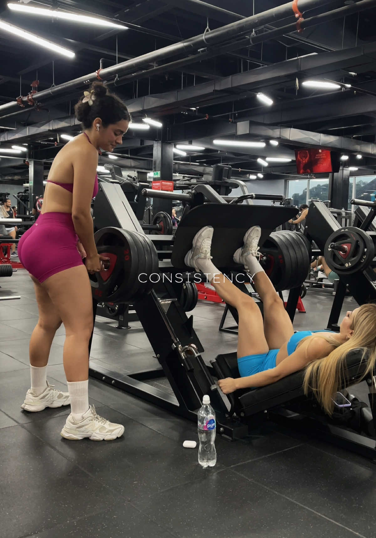 @Camila Krystel
