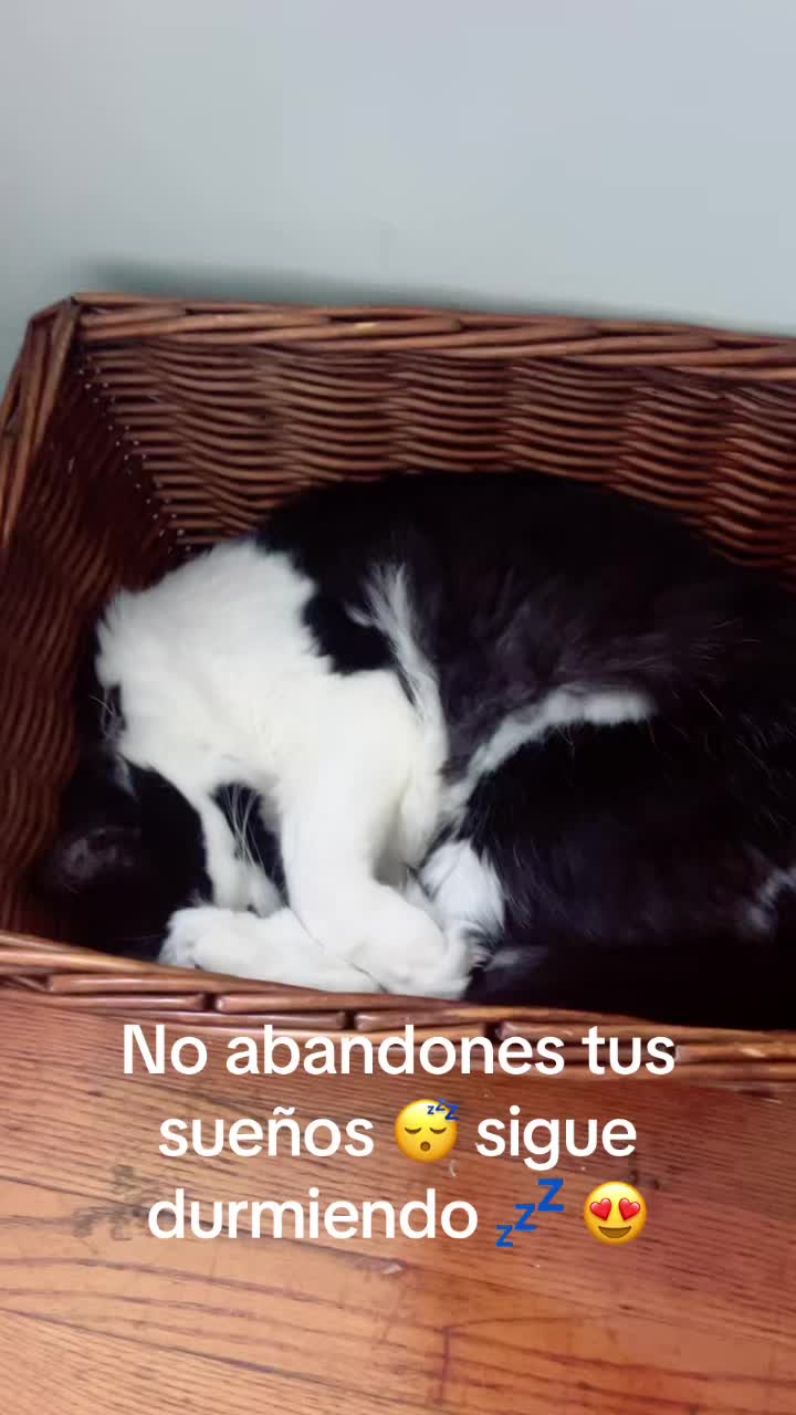 @Consuelo S